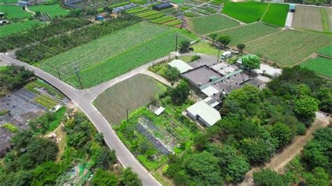 賴家兄弟地瓜田|金山地瓜飄香國際！三兄妹翻轉粗食 研發特色農產｜ 